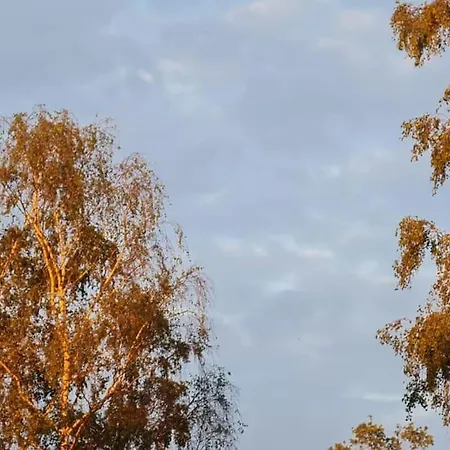 샬레 Landelijke Trekkershut