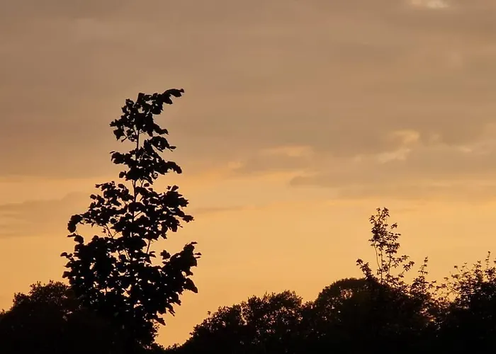 Chalet 1x Luxe Trekkershut Of 1x Vrijstaand Peperkamp Zelhem