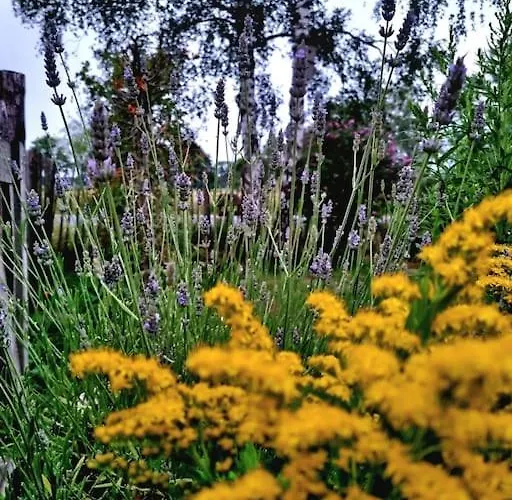 1x Luxe Trekkershut Of 1x Vrijstaand Peperkamp Zelhem