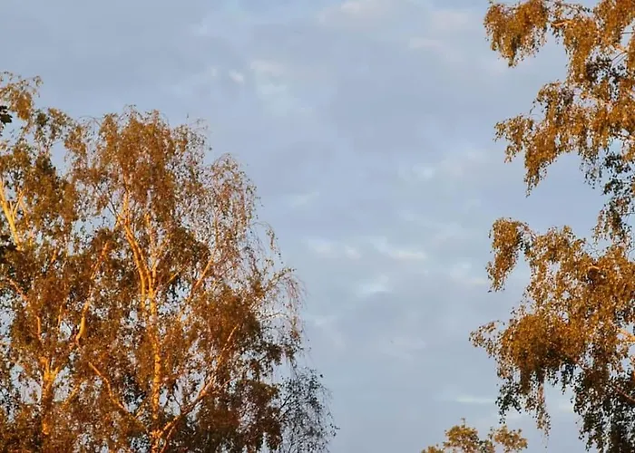 Alpehytte Unieke Trekkershut