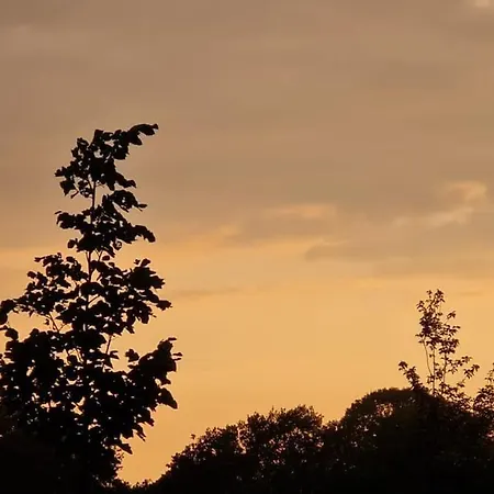 Alpesi faház Unieke Trekkershut Zelhem