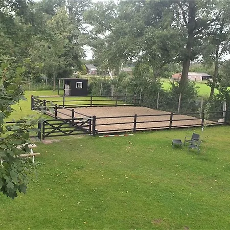 1x Luxe Trekkershut Of 1x Vrijstaand Peperkamp Chalet Zelhem